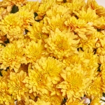 Зображення товару Композиція D3030, артикул: 54825