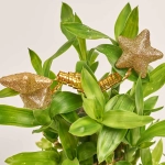 Зображення товару Бамбук Лакі в кераміці, артикул: 21839