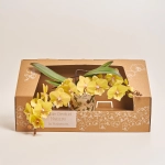 Зображення товару Фаленопсис "Тейбл" 2ст. мікс, артикул: 27475