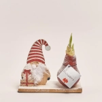 Зображення товару Амариліс "Вінтер Вондерленд" мікс на підставці, артикул: 53629