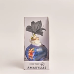 Зображення товару Амариліс принт у воску в коробці, артикул: 54043