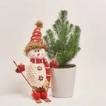 Зображення товару Сосна в керамічному кашпо та іграшка новорічна "Сніговик" Сет 512, артикул: 54580