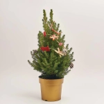 Зображення товару Ялина Десембер декор, артикул: 54057