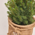 Зображення товару Ялина Перфекта в мішку, артикул: 54058