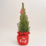 Зображення товару Ялина Перфекта декор у мішку, артикул: 54322