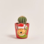 Зображення товару Кактус "Новорічний мікс" в кер., артикул: 53597