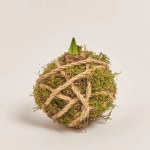 Зображення товару Композиція Амариліс з мохом, артикул: 53752