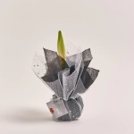 Зображення товару Амариліс мікс у воску, артикул: 54508