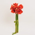 Зображення товару Букет 5 Амарилісів F448, артикул: 52499