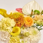 Зображення товару Композиція D6007, артикул: 53792