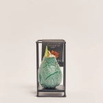 Зображення товару Амариліс "Індустріал Формз" у воску, артикул: 53968