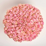 Зображення товару Букет 101 Троянда Антена Роял F917, артикул: 56421