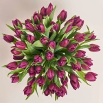 Зображення товару Композиція з фіолетових тюльпанів у кашпо F113, артикул: 55746