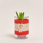 Зображення товару Гіацинт мікс у склі, артикул: 55683