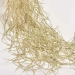 Зображення товару Тілландсія Усневидна, артикул: 41458