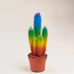 Зображення товару Кактус Рейнбов "Zuil" Спешл, артикул: 52850