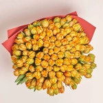 Зображення товару Букет 151 помаранчевий піоновидний Тюльпан F1005, артикул: 54168