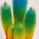 Зображення товару Кактус Рейнбов "Zuil" Спешл, артикул: 52850