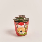 Зображення товару Сукулент мікс "Оленята" в кер., артикул: 53958