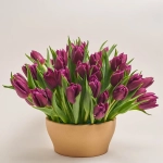 Зображення товару Композиція з фіолетових тюльпанів у кашпо F113, артикул: 55746