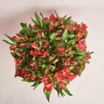 Зображення товару Букет 25 Червоних Альстромерій F632, артикул: 44694