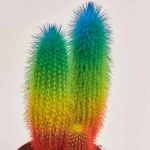 Зображення товару Кактус Рейнбов "Zuil" Спешл, артикул: 52324