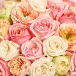 Зображення товару Букет 51 Піоновидна троянда F916, артикул: 55708