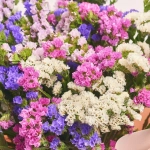 Зображення товару Букет 25 Статиць Мікс F563, артикул: 41604