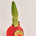 Зображення товару Амариліс мікс у воску, артикул: 32504