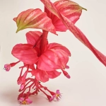 Зображення товару Медініла Фламенко, артикул: 30860