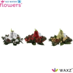 Зображення товару Амариліс "Крісмас" декор у воску, артикул: 54184