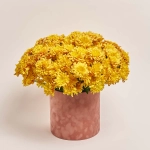 Зображення товару Композиція D3030, артикул: 54825