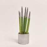 Зображення товару Сансевієрія Циліндріка гліттер в кер., артикул: 10110