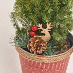 Зображення товару Ялина Перфекта декор в цинк. горщ., артикул: 54153