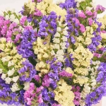 Зображення товару Композиція D5043, артикул: 57265