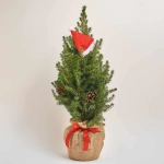 Зображення товару Ялина Перфекта в мішку, артикул: 54058