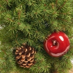 Зображення товару Композиція Ялина Коніка декор, артикул: 31803