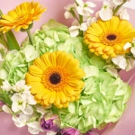 Зображення товару Букет D4234, артикул: 56815