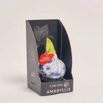 Зображення товару Амариліс Ротердам принт у воску в коробці, артикул: 55401