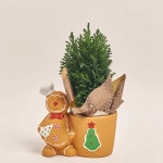 Зображення товару Кипарис Елвуді Декор в кер., артикул: 54047