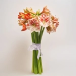 Зображення товару Букет 11 Амарилісів Мікс F564, артикул: 53614