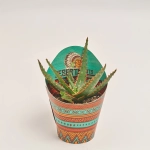 Зображення товару Алоє мікс, артикул: 46262