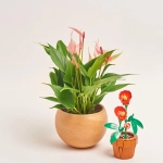 Зображення товару Сет LEGO та Антуріум у кашпо, артикул: 57031